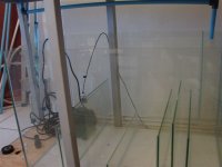 DSC01156.JPG