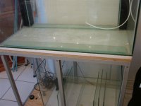 DSC01155.JPG