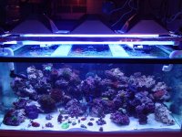 tank9-24-07.jpg