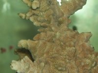 000_0100.jpg