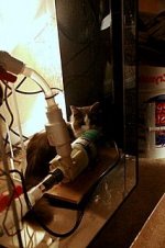 20070212_img_0015 (WinCE).jpg