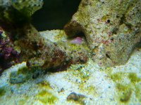 All gone big size.jpg