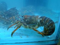 DSC01174.JPG