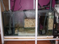 DSCF0235 [800x600].jpg