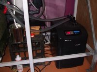 DSCF0234 [800x600].jpg