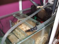 DSCF0236 [800x600].jpg