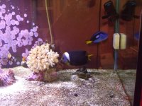 DSCF0248 [800x600].jpg