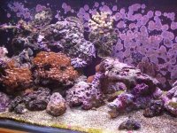 DSCF0249 [800x600].jpg