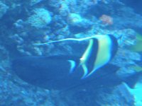 DSCN0347.JPG