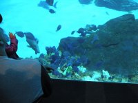 DSCN0353.JPG