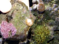 DSCF011011.jpg