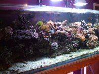 2009 tank.jpg
