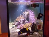 DSCF0246 [800x600].jpg