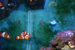 dori.jpg