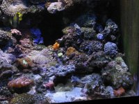 IMG_3489a.JPG