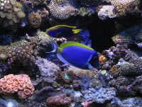 IMG_3526a.JPG