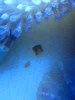 IMG_0023.JPG