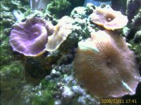 IMAGE_00065.jpg