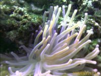IMAGE_00064.jpg
