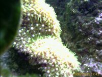IMAGE_00068.jpg