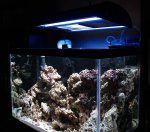 tank 4_07 new lights.jpg