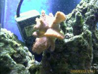 IMAGE_00070.jpg