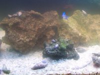 tank2 (2).jpg