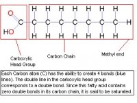 fig. 1.jpg