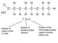 fig. 2.jpg
