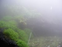 fogger-1minute.jpg