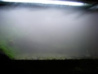 fogger-2minutes.jpg