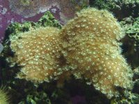 DSCF0400 [800x600].jpg