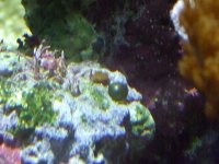 DSCF0401 [800x600].jpg