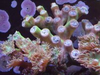 DSCF0017 [800x600].jpg