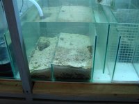 DSC01194.JPG