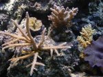 DSCN3057.jpg
