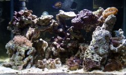 fulltank45days.jpg