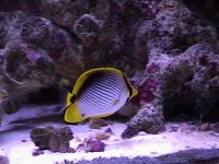 dsc00064_772.jpeg