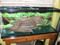 Driftwood and lead bar.jpg