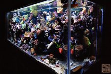 D2X_1085.jpg