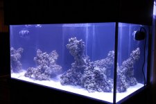 aquascaped.jpg