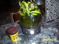 Micro PLanted bowl 2004.JPG