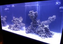 aquascaped2.jpg