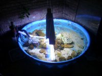 Picture 114.jpg