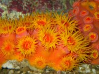 DSCF0725 [800x600].jpg