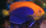 162_6293.jpg