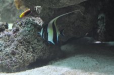 DSC_0491.jpg