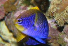 IMG_0585a1.JPG
