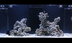 fts1.jpg