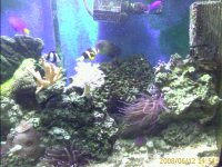 0_IMAGE_00112.jpg